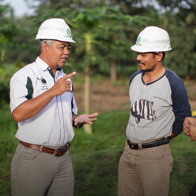 Talking Forests Restoration at Forests 2015