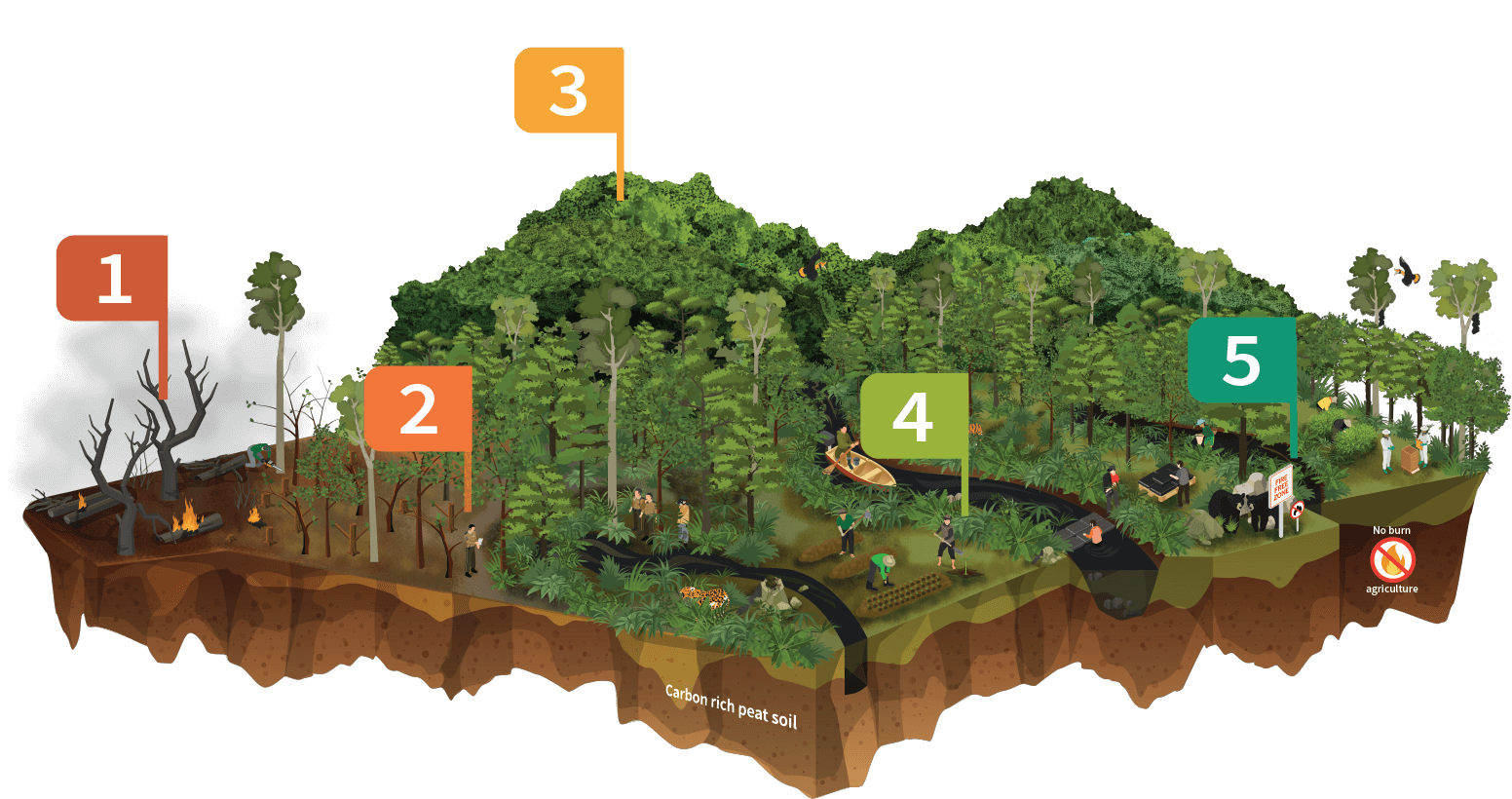 Ecosystem Map - Restoring Forest Ecosystems