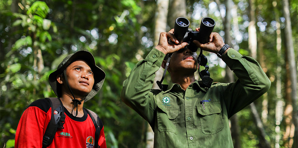 In addition to the 200 water birds, 64 non-water bird species were also observed.