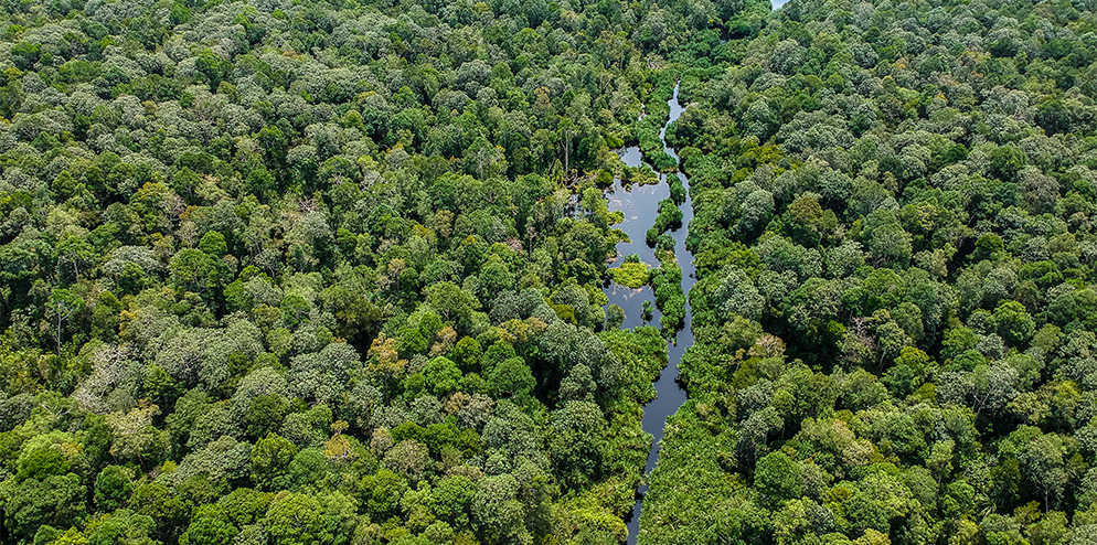 Landscape Level Conservation