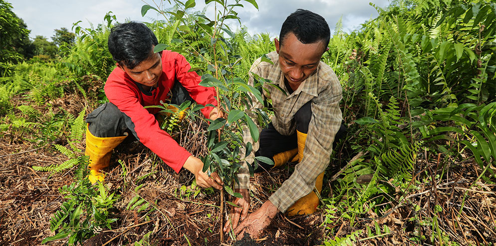 Sustainable Agriculture and Organic Farming