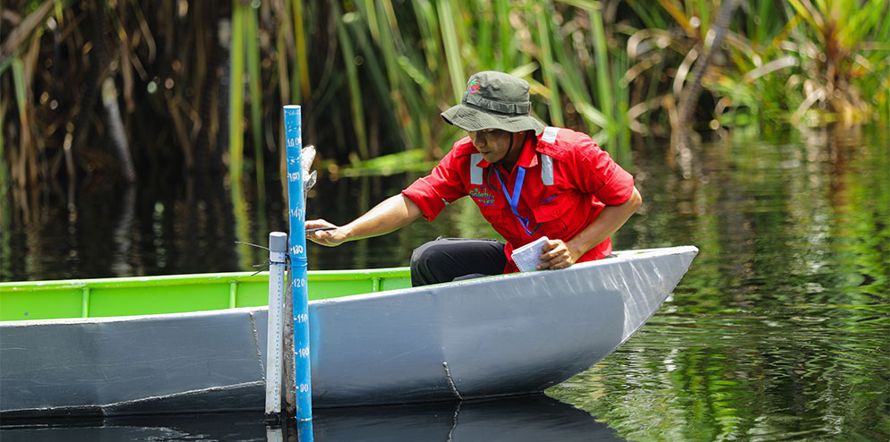 Wireless Water Level Monitoring