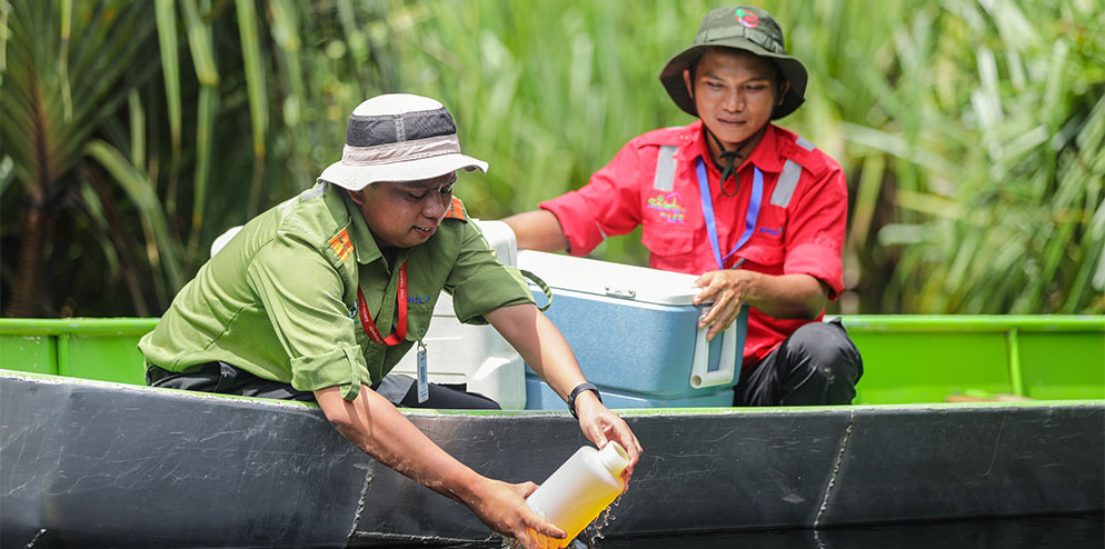 the frequency and abundance of rainfall is a primary driver for maintaining water table levels close to the peat surface.