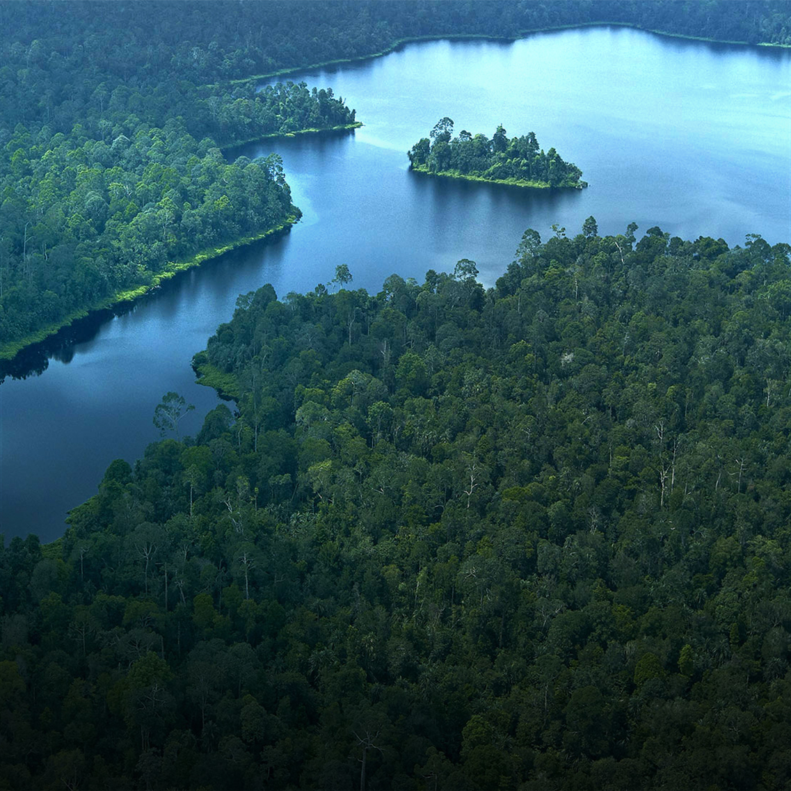Channel NewsAsia: Restorasi Ekosistem Riau (RER)