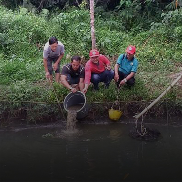 Spreading catfish seeds by Head of Dusun 1, Selat Akar Village (3th from right ) with RER team of Pulau Padang.