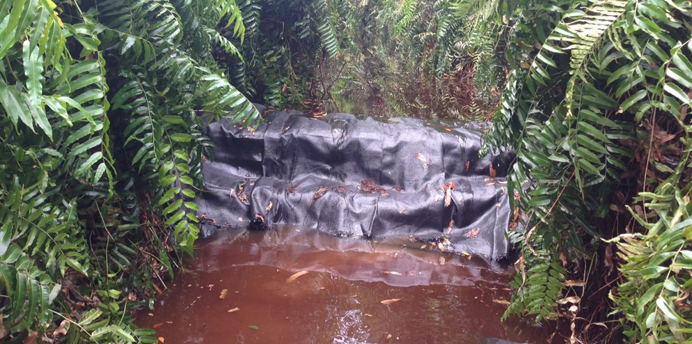 Completed dam at canal in RER area.