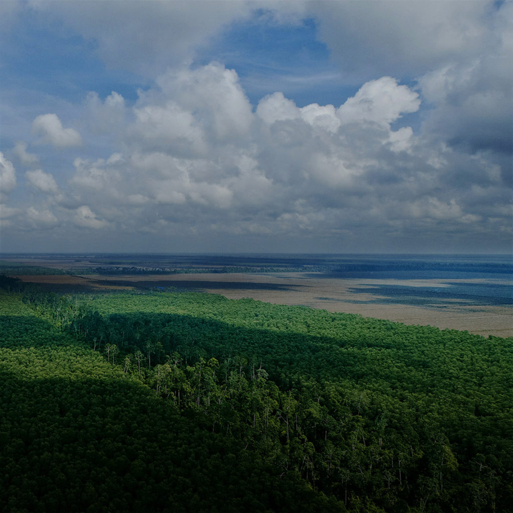 Indonesian firm pledges S$141m to restore peatlands (The Straits Times)