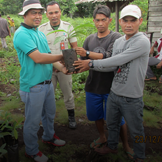 Planting for the Future: Employee Volunteering by RER with Community of Sangar, Pulau Muda Village