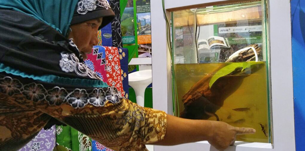 the Restorasi Ekosistem Riau (RER) team displayed peat swamp fishes such as Kryptopterus sp.