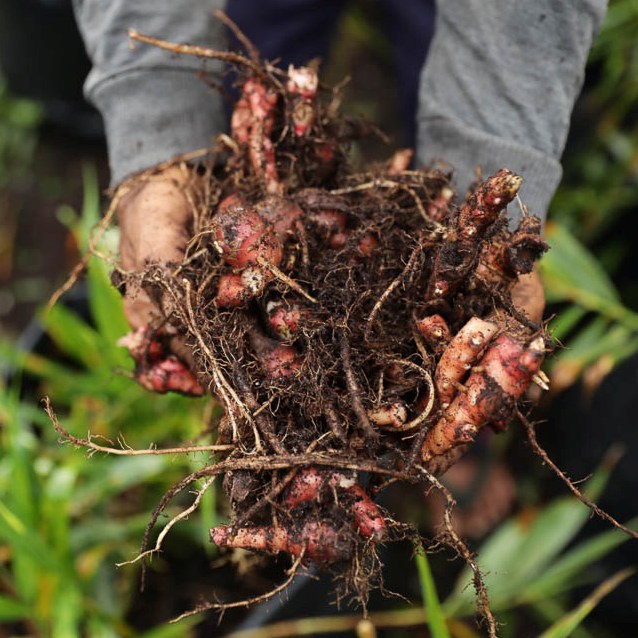 How Sangar Village Switched to No-burn Farming