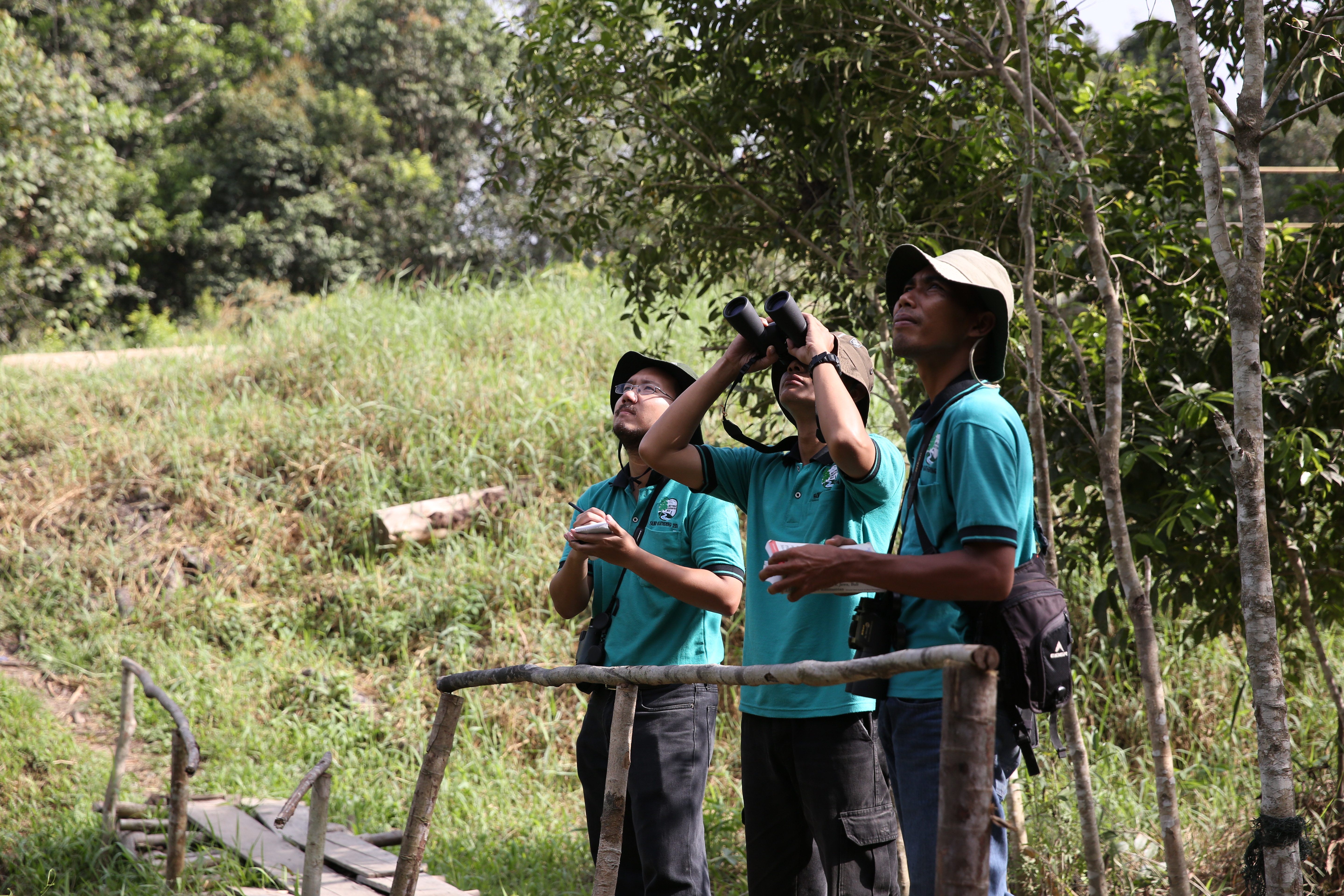 Bird watching-AWC-Rekoforest