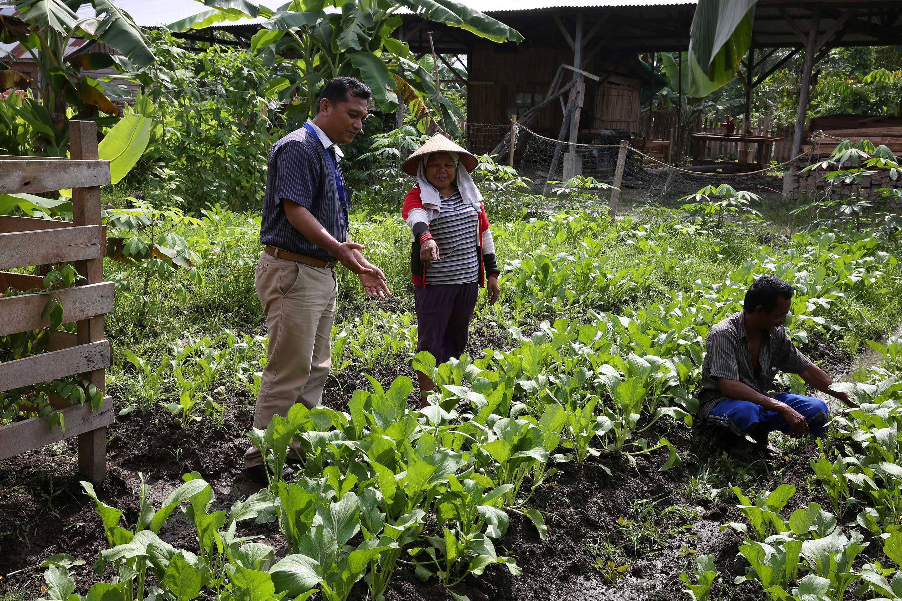 RER supports no-burn vegetable farming