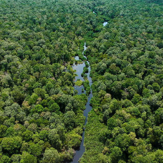 Semenanjung Kampar