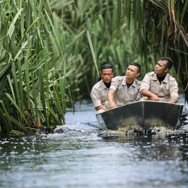 Pelindung Hutan | Pelestarian Lingkungan | Jagawana