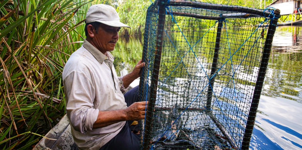 bachtiar- fisherman