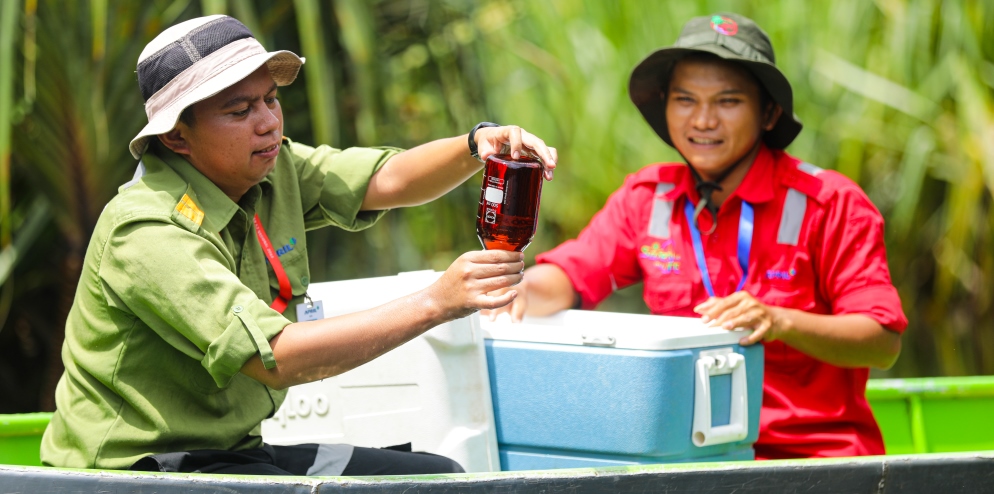 RER - Sustainable Forest Management