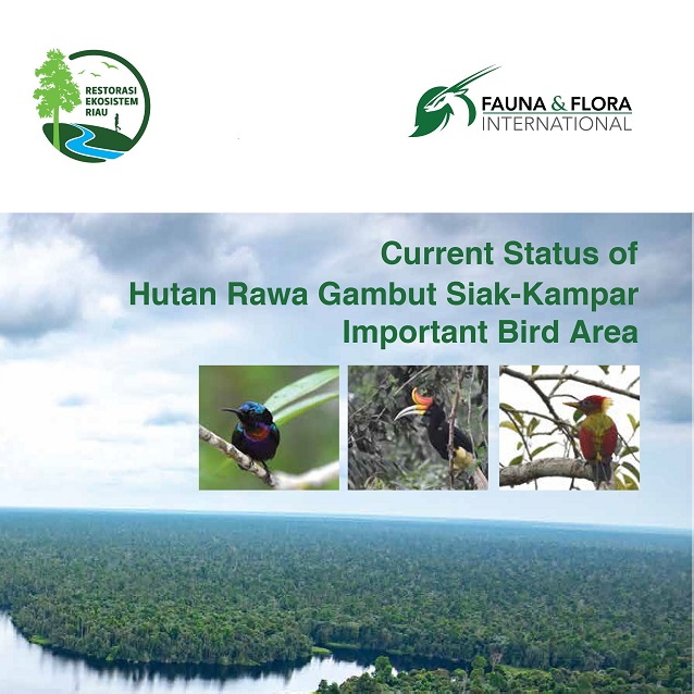 Laporan IBA – Restorasi Ekosistem Riau