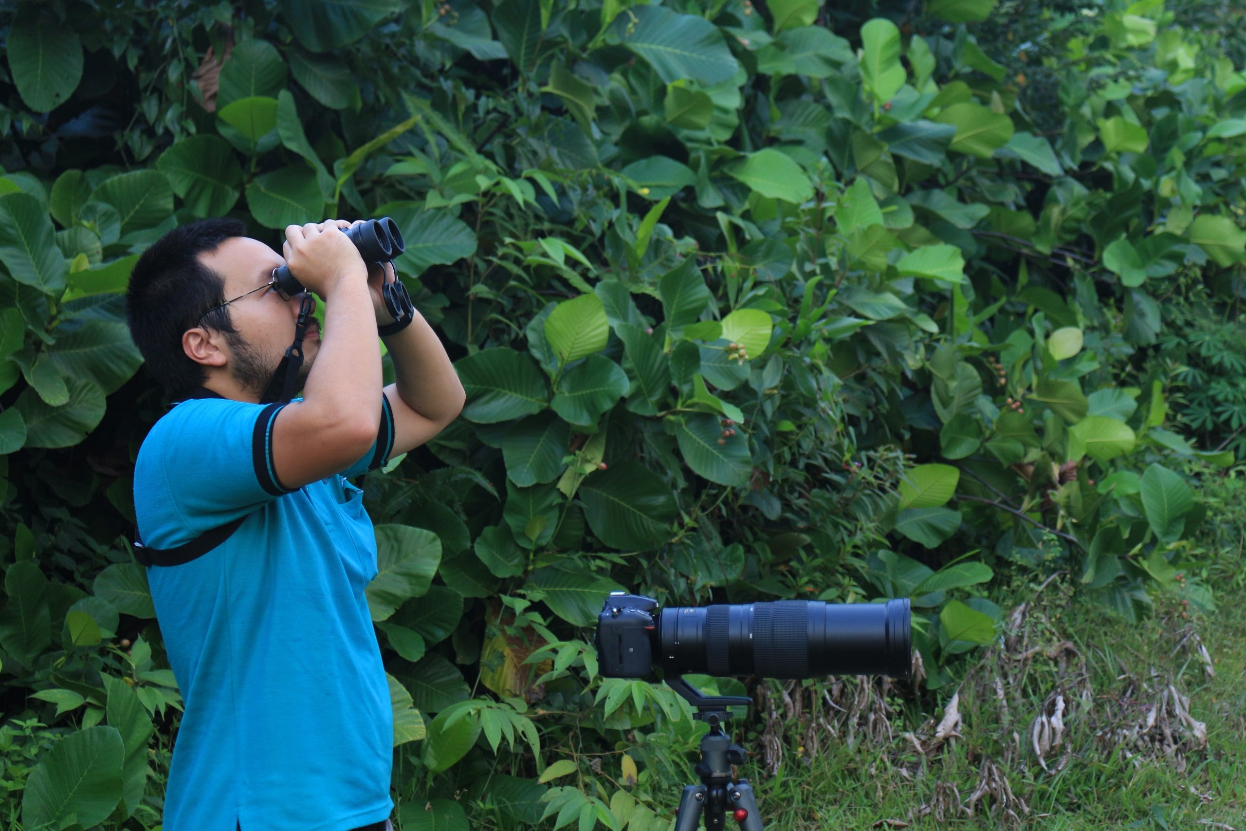 Pengamatan burung menggunakan teropong (binocular)