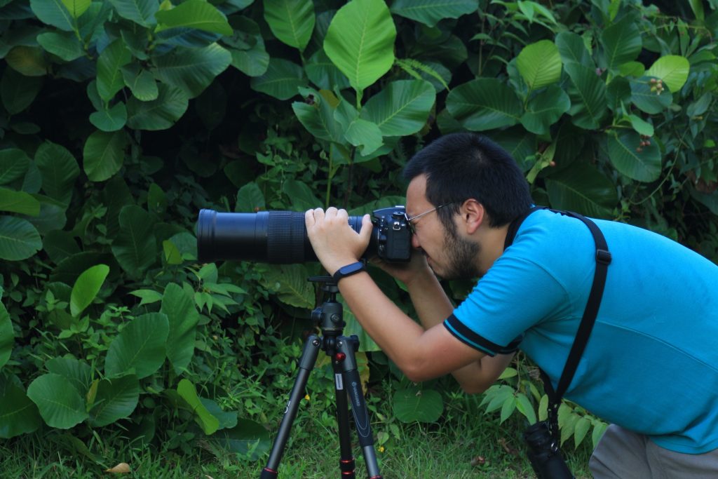 Fotografi berkaitan erat dengan pengamatan burung