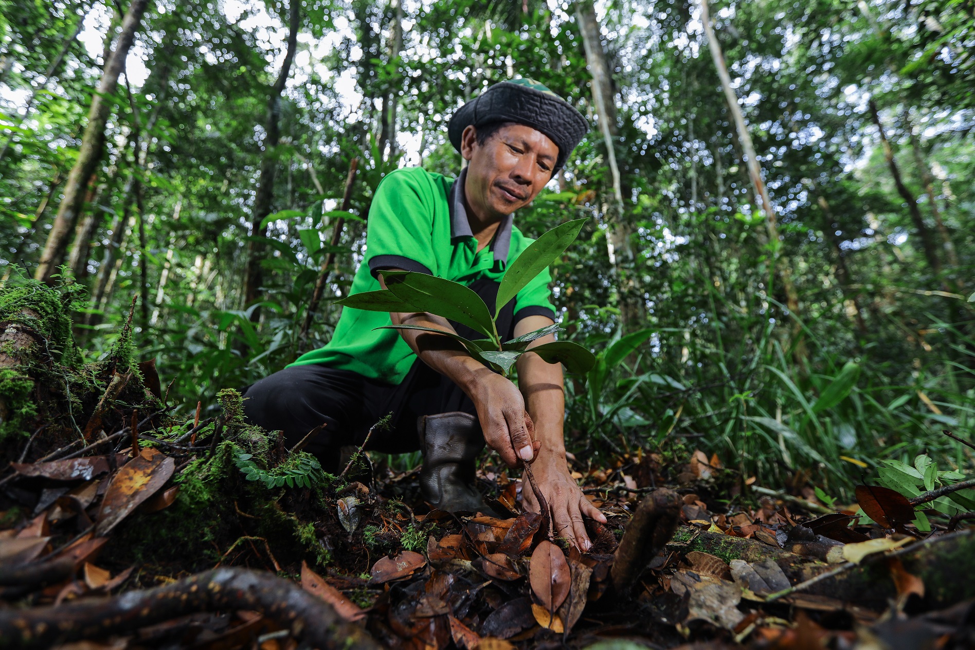 RESTORATION EFFORT IN THE KAMPAR PENINSULA