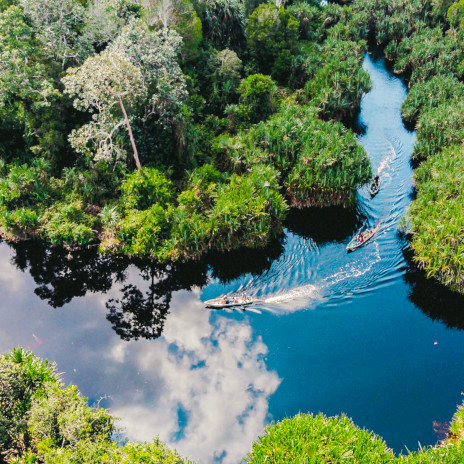 Serkap river, Kampar Peninsula