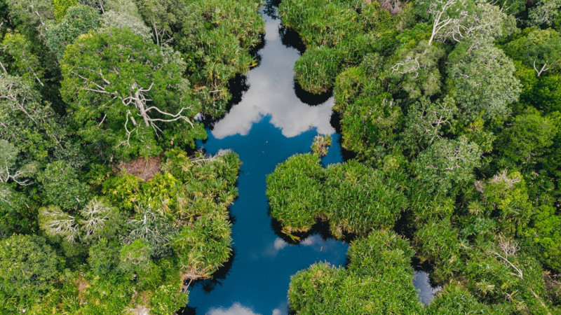 RER area in Kampar Peninsula