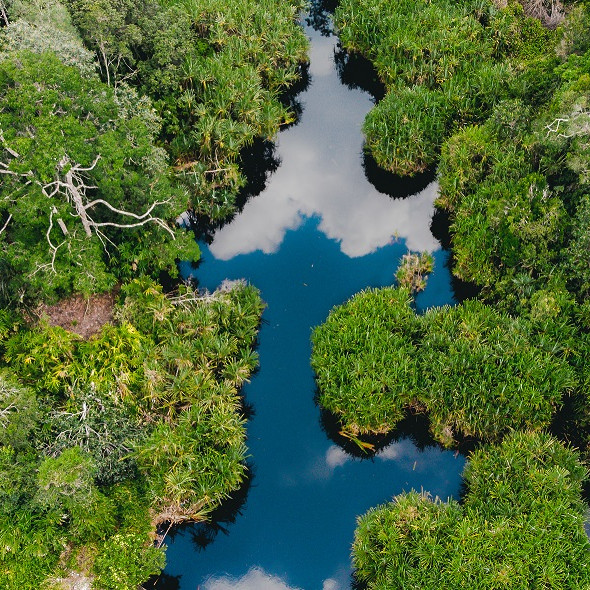 Kawasan RER di Semenanjung Kampar