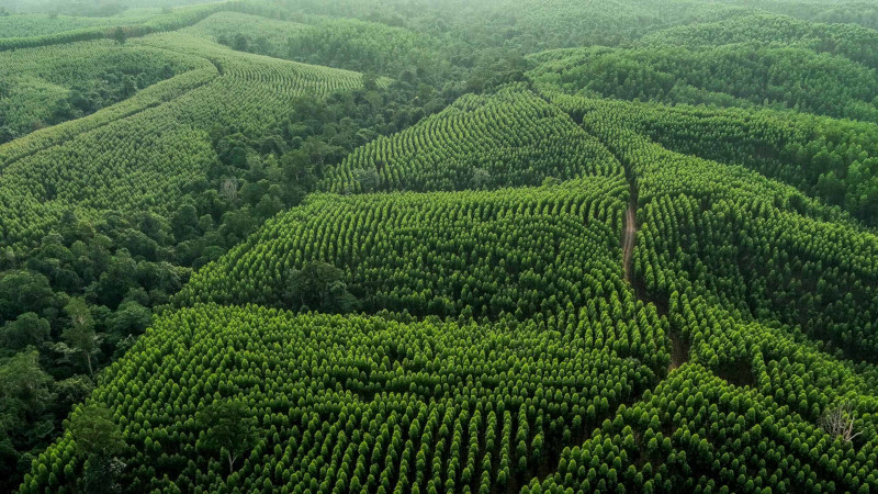 Model Pengelolaan Lanskap Produksi-Perlindungan APRIL