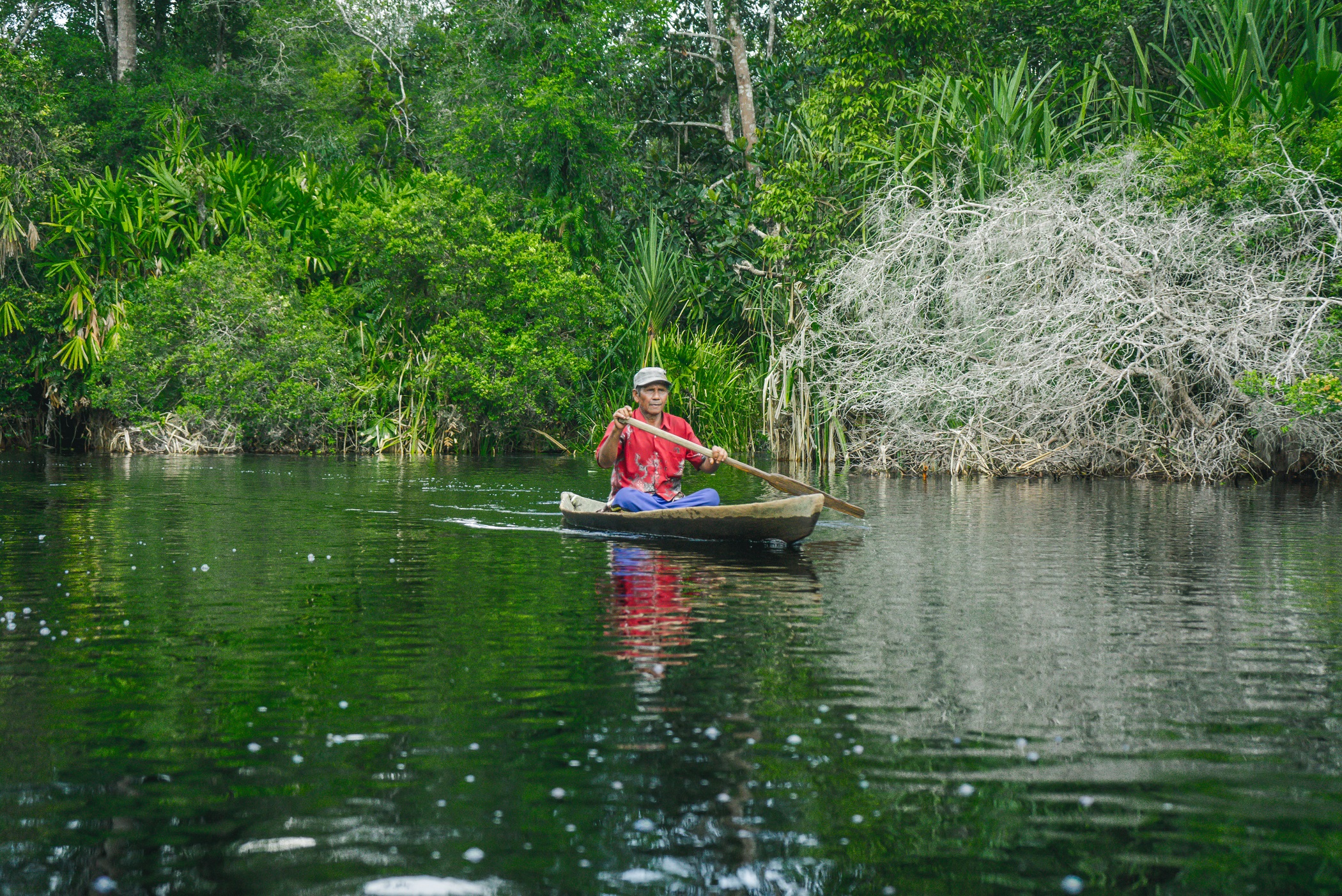 Buaya Muara justru hidup berdampingan dengan masyarakat yang hidup di sekitar Sungai Serkap.