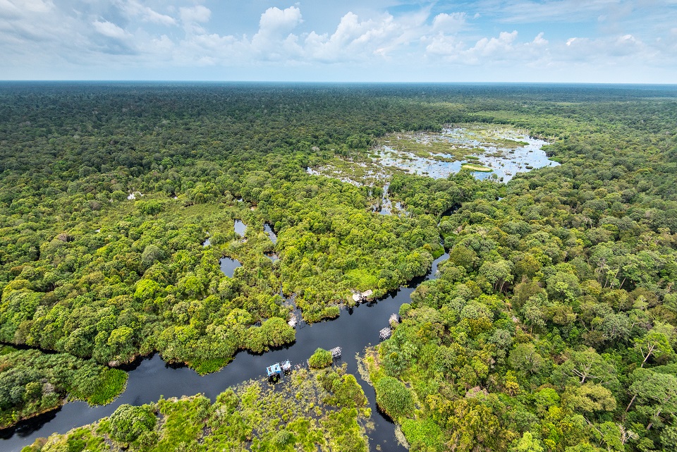 Restorasi Ekosistem Riau (RER), as program supported by APRIL Group which strategically located in the tropical areas of Sumatra, Indonesia, aims to restore and conserve ecologically important peat swamp forest the size of Greater London.