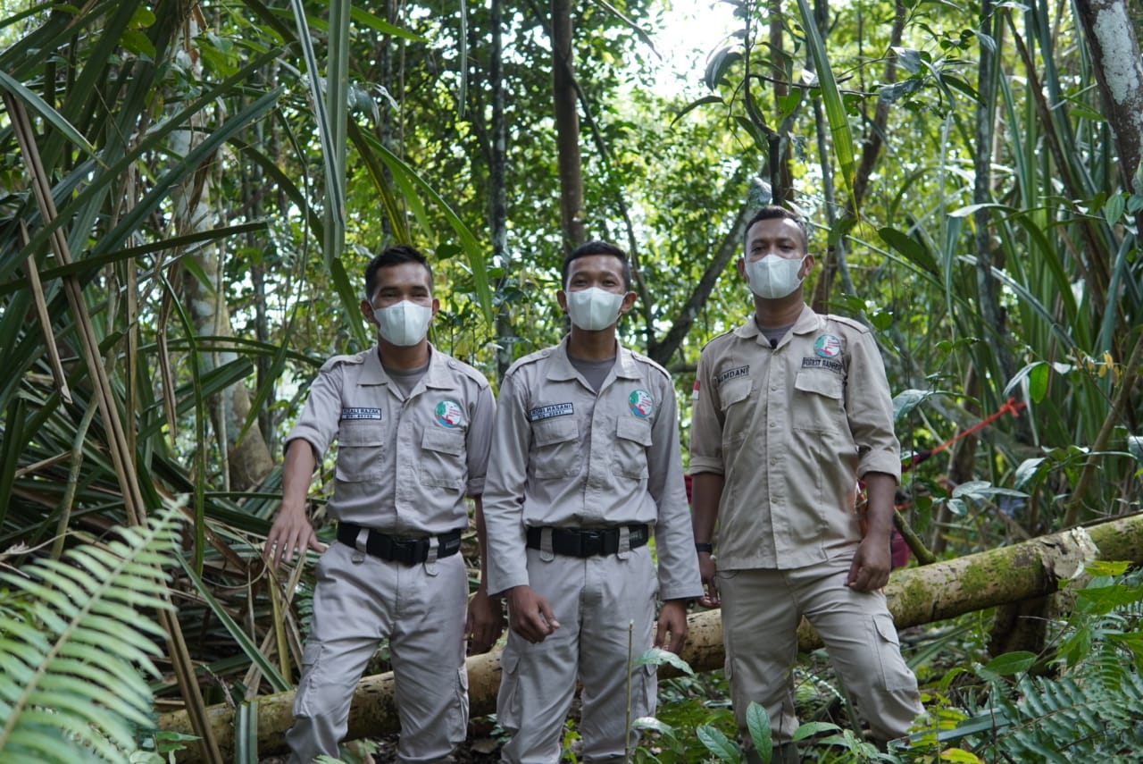 Hari Jagawana Sedunia diperingati setiap tanggal 31 Juli sebagai momen kita untuk merefleksikan keberanian dan pengorbanan para jagawana yang telah melindungi hutan.