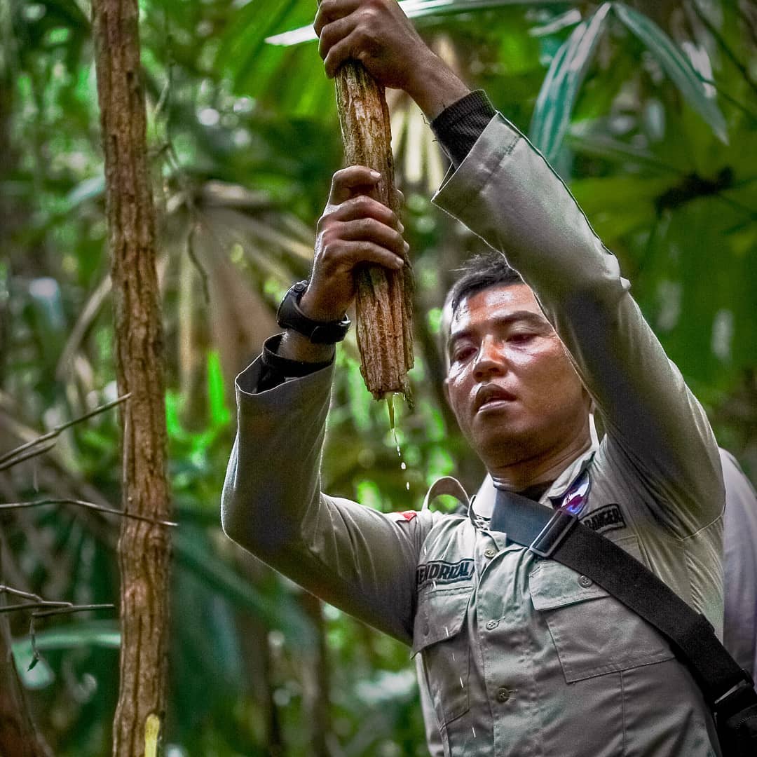 Hari Jagawana Sedunia diperingati setiap tanggal 31 Juli sebagai momen kita untuk merefleksikan keberanian dan pengorbanan para jagawana yang telah melindungi hutan.