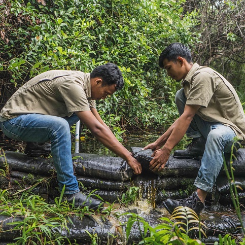 Selama lima tahun, 72 persen dari tujuan RER telah tercapai dengan membangun 79 sekat kanal untuk menutup 29 sistem kanal sepanjang 158,2 km, berdampak pada 8.920 ha di Semenanjung Kampar dan Pulau Padang.