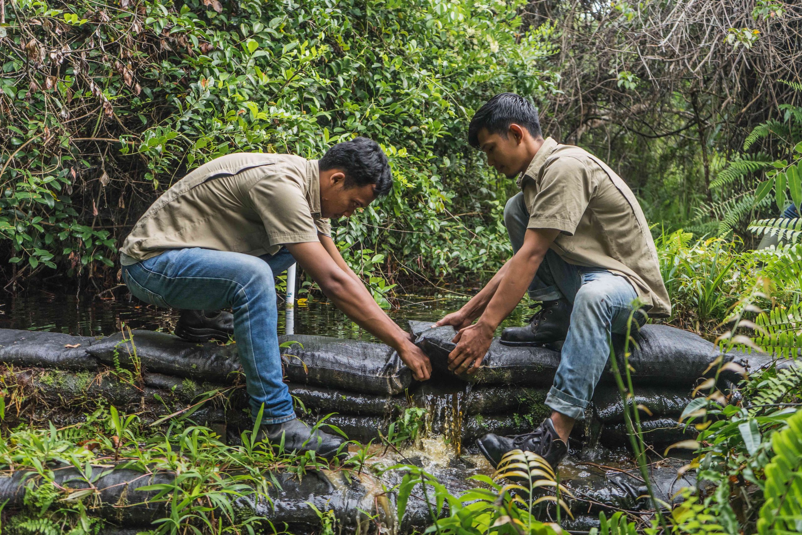 Selama lima tahun, 72 persen dari tujuan RER telah tercapai dengan membangun 79 sekat kanal untuk menutup 29 sistem kanal sepanjang 158,2 km, berdampak pada 8.920 ha di Semenanjung Kampar dan Pulau Padang.