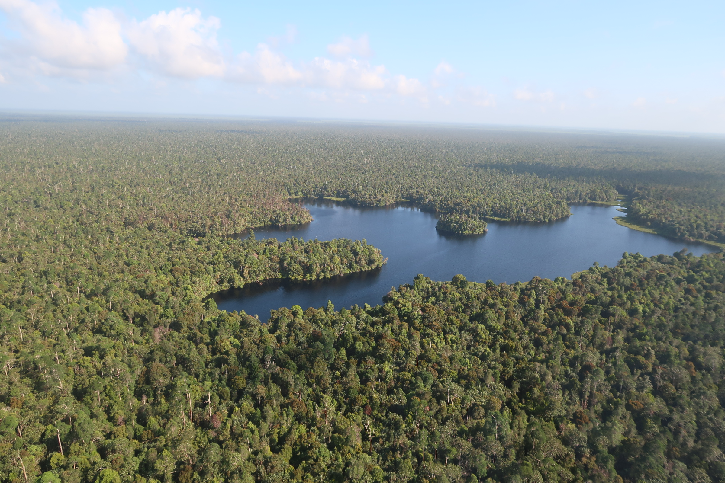 A healthy lake’s aquatic environment can be an integral part of an ecosystem restoration. Here are several lakes in Kampar Peninsula & How RER protect and restore ecologically.