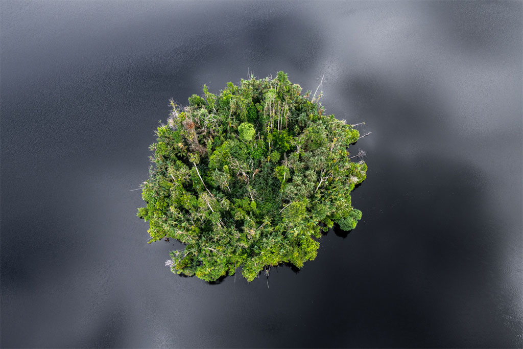 A healthy lake’s aquatic environment can be an integral part of an ecosystem restoration. Here are several lakes in Kampar Peninsula & How RER protect and restore ecologically.