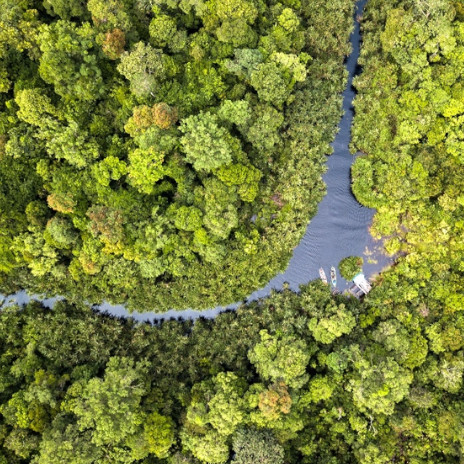 Community participation and sustainable economic activity are vital aspects of environmental and biodiversity protection, especially on the Kampar Peninsula.