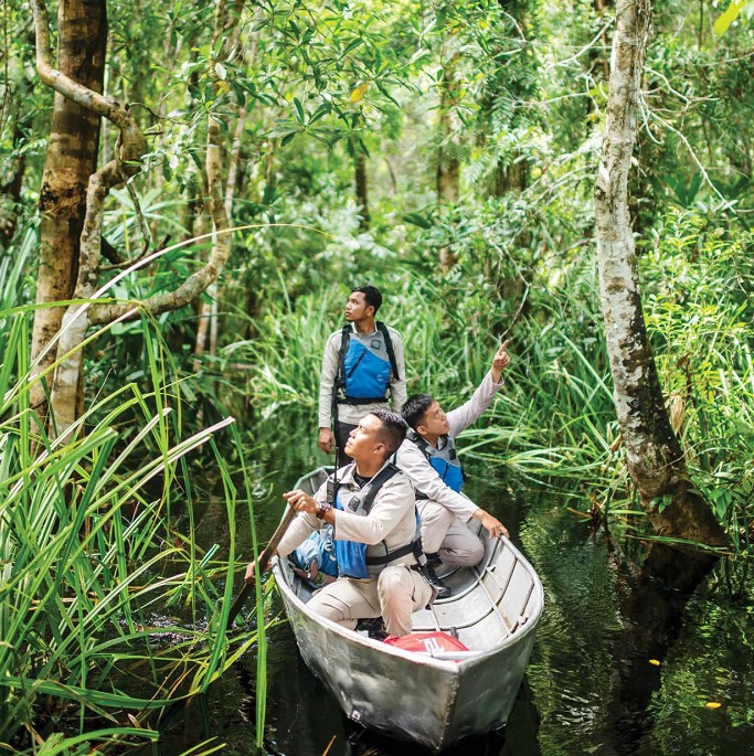 EIGHT YEARS OF RESTORATION 2021 marked Restorasi Ekosistem Riau’s (RER) eighth year of operation in 2021 and what might be considered its most difficult to date due to the ongoing impact of the covid-19 pandemic. However, despite the many challenges, RER has continued to make positive progress as it strives to protect and restore this important ecological landscape.