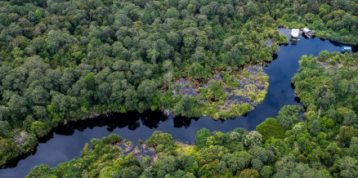 Kemajuan Signifikan Restorasi Ekosistem Riau