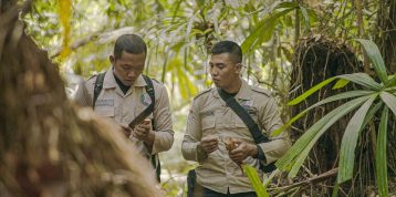 Hutan Gambut: Tips Dan Persiapan Sebelum Mengunjunginya