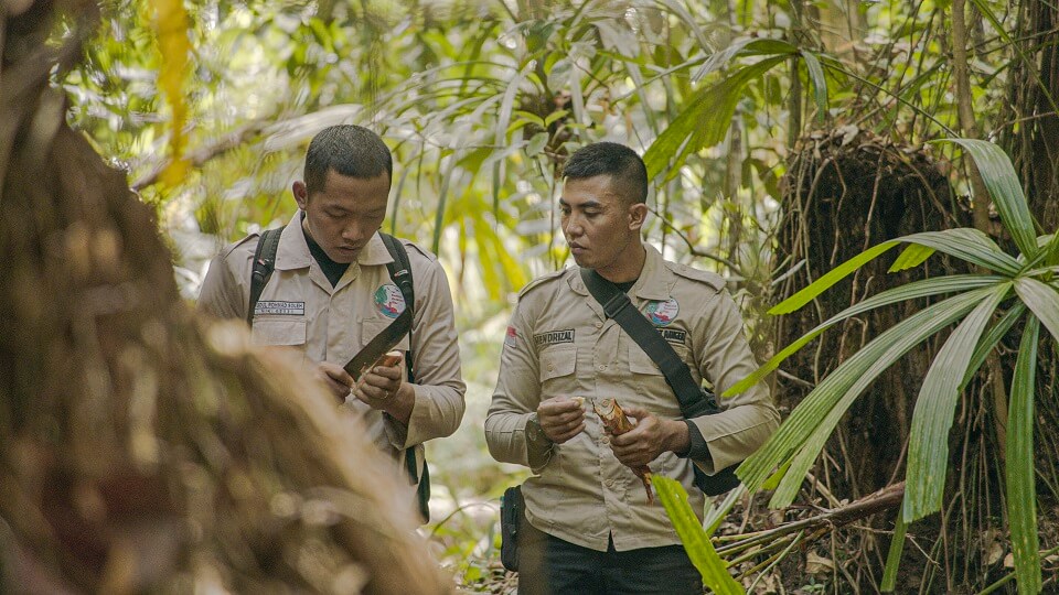 Lahan gambut merupakan satu dari sekian banyaknya habitat penting di bumi. Berikut hal yang perlu Anda perhatikan sebelum mengunjunginya!