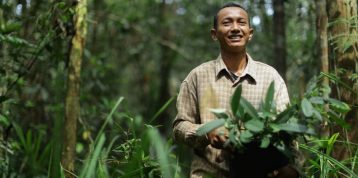 Pembibitan RER: Masa Depan Hutan Alam di Riau