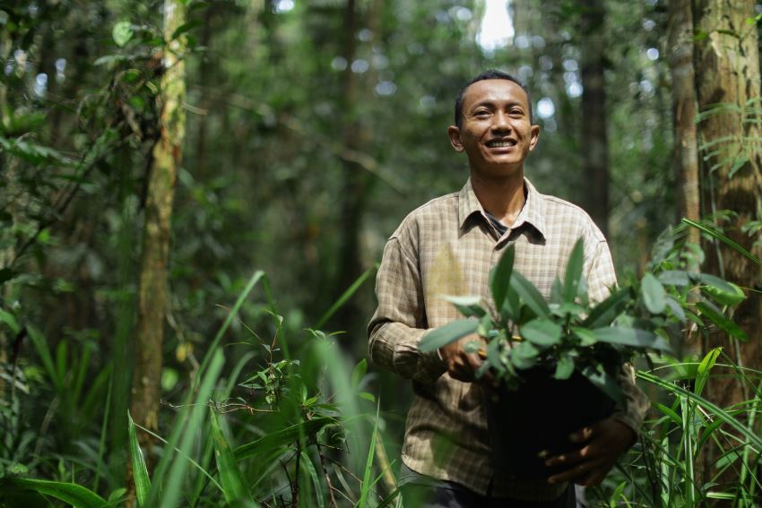 The RER nursery is where native tree species are nurtured until they are ready to be replanted in the wild. Find out more about RER nursery.