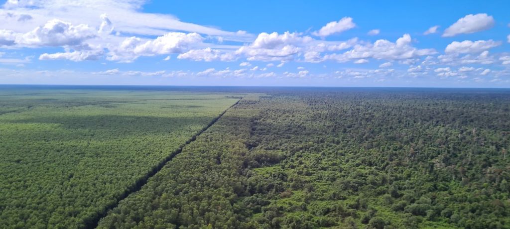 Selama sepuluh tahun terakhir, dampak kumulatif dari pendekatan produksi-proteksi telah menghasilkan penggunaan lahan yang stabil dan lanskap hutan yang pulih.