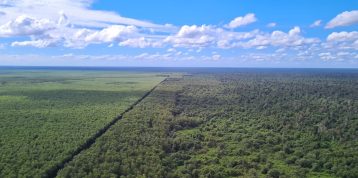 Production-Protection: Celebrating a Decade of Positive Impacts