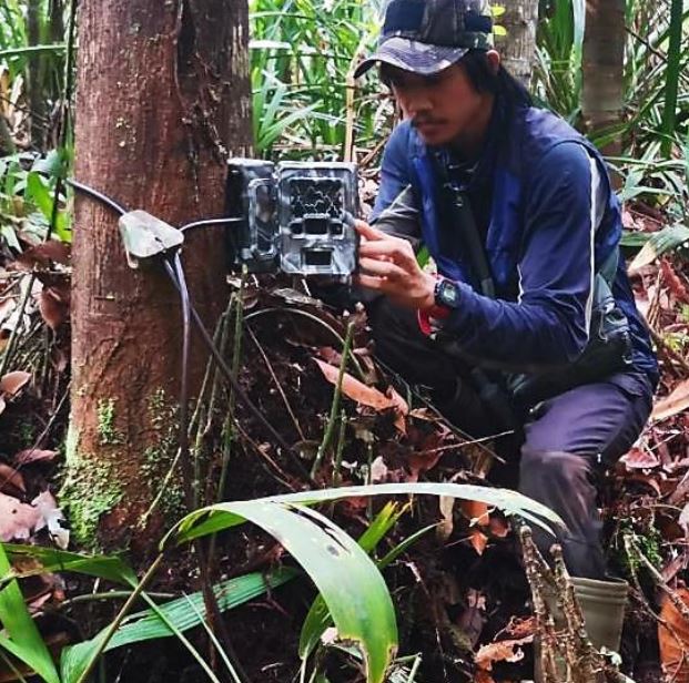 Wildlife Inventory from Camera Trapping Survey in PT GAN RER