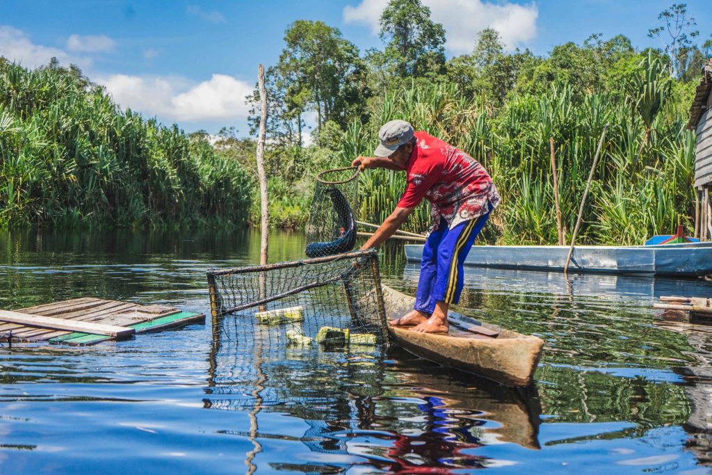 RER is home to spectacular wildlife and abundant natural resources. For the communities who live near these areas, the natural world provides food, shelter, and the means to make a living.