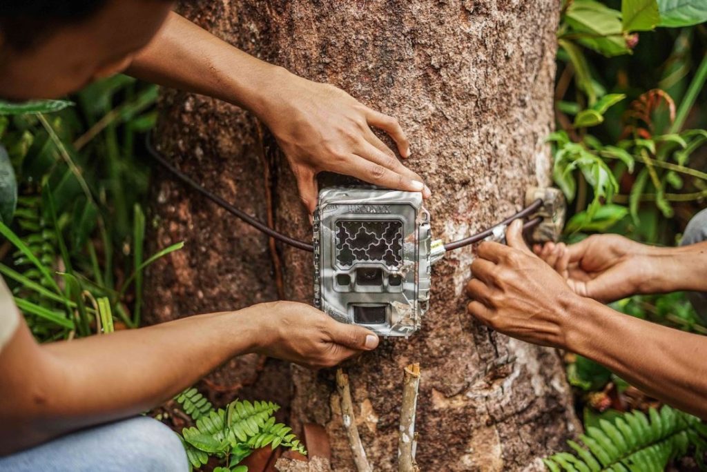 Dengan kamera jebak, kita dapat menjelajahi hutan tanpa mengganggu hewan, yang mengingatkan kembali pentingnya RER bagi keanekaragaman hayati.