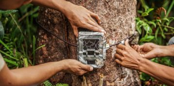 Camera Traps: Everything You Need to Know