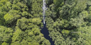 Kolaborasi Kunci Keberhasilan Restorasi Ekosistem